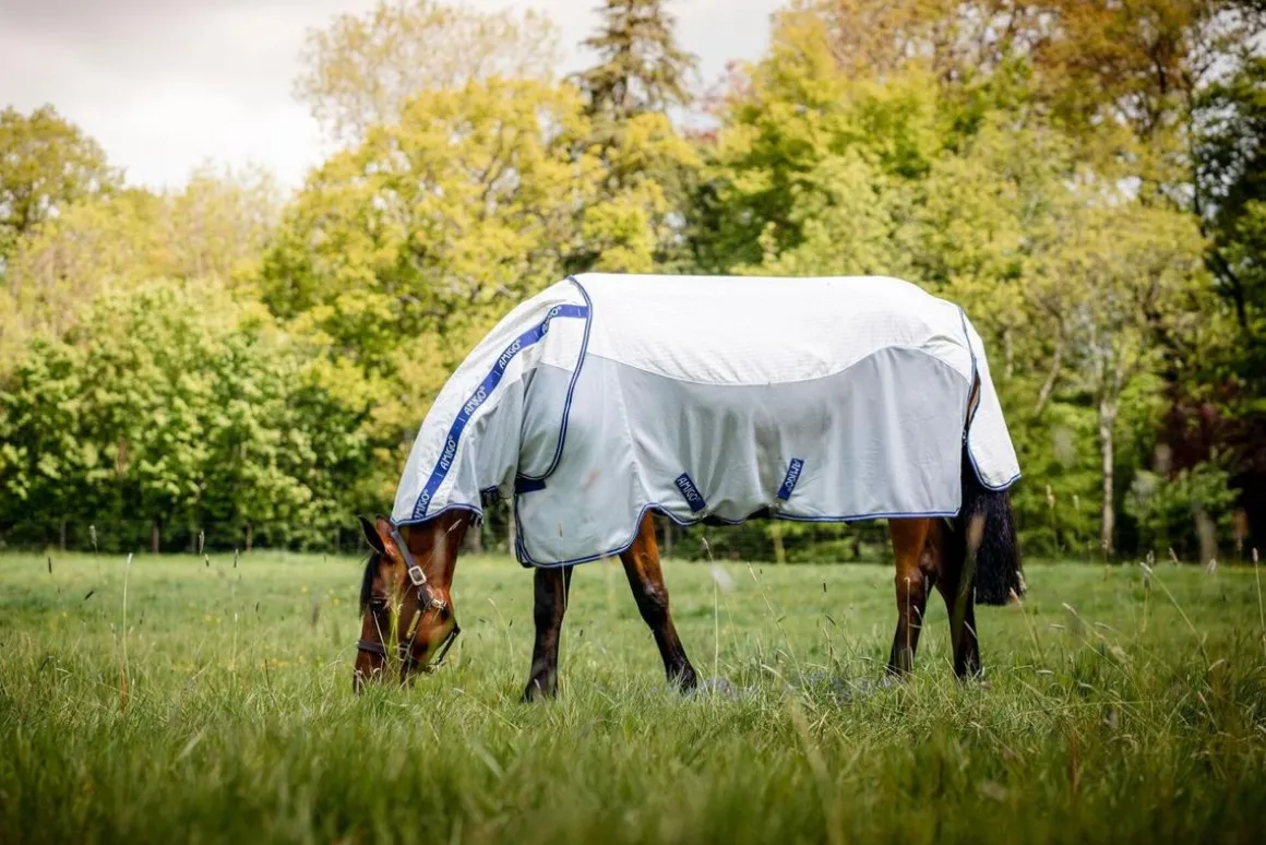 Amigo Airflow insektsbeskyttelse dekken -Navy Check/Atlantic Blu