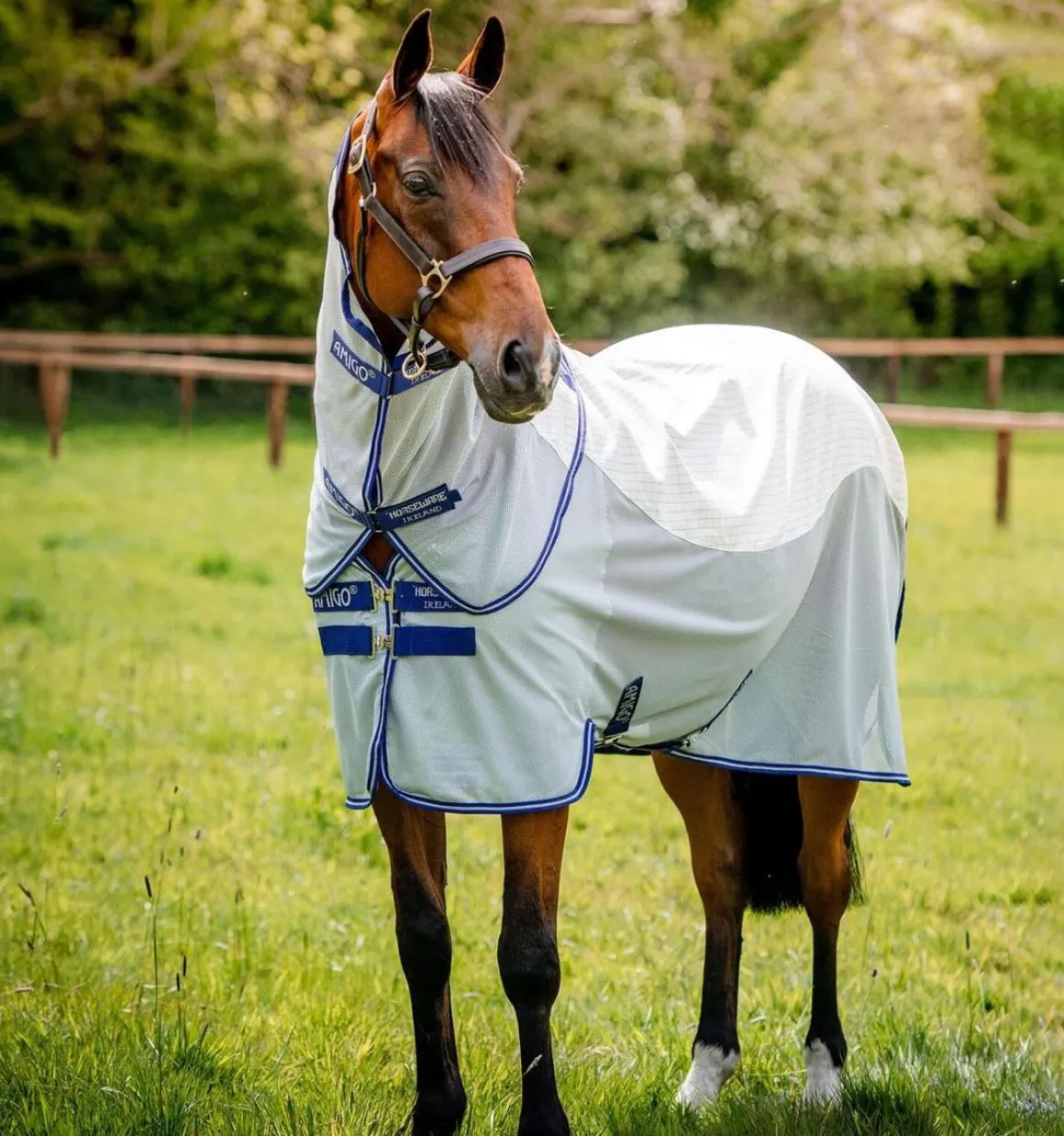 Amigo Airflow insektsbeskyttelse dekken -Navy Check/Atlantic Blu