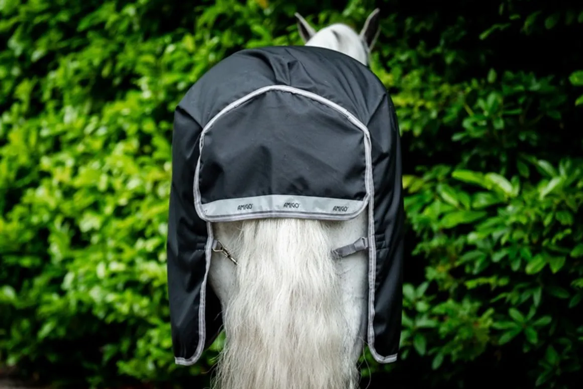 Amigo 1200D Plus Bundle