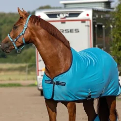 Amigo Jersey Cooler - Delphinium Blue & Navy