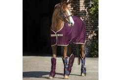 Amigo Jersey Cooler - Fig/Navy & Tan