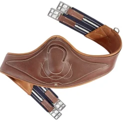 Antares anatomisk gjord