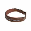 Antares Leather Dog Collar