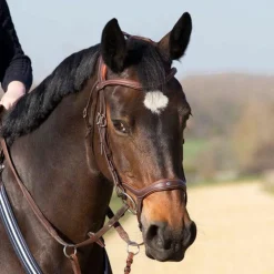 Antares Precision Hodelag med Y-nesereim
