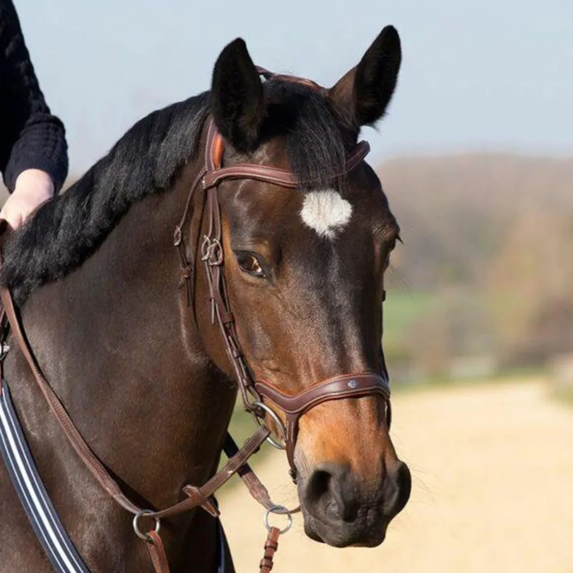 Antares Precision Hodelag med Y-nesereim