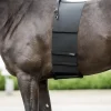Catago Body Shield