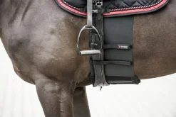 Catago Body Shield