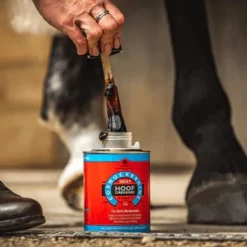 CDM Daily Hoof Dressing