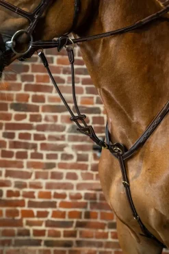 Dyon Kort elastisk martingal - Dyon Collection