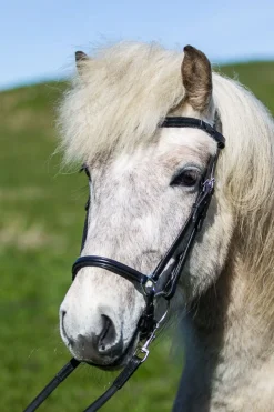 Eques Bølge-formet Pannebånd i Sort Lær