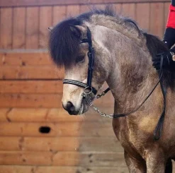 Eques Bølgeformet Pannereim med Svarte og Hvite Krystaller
