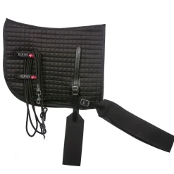 Eques Core trainer Longering System