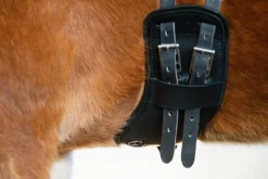 Eques Flex Balance Gjord