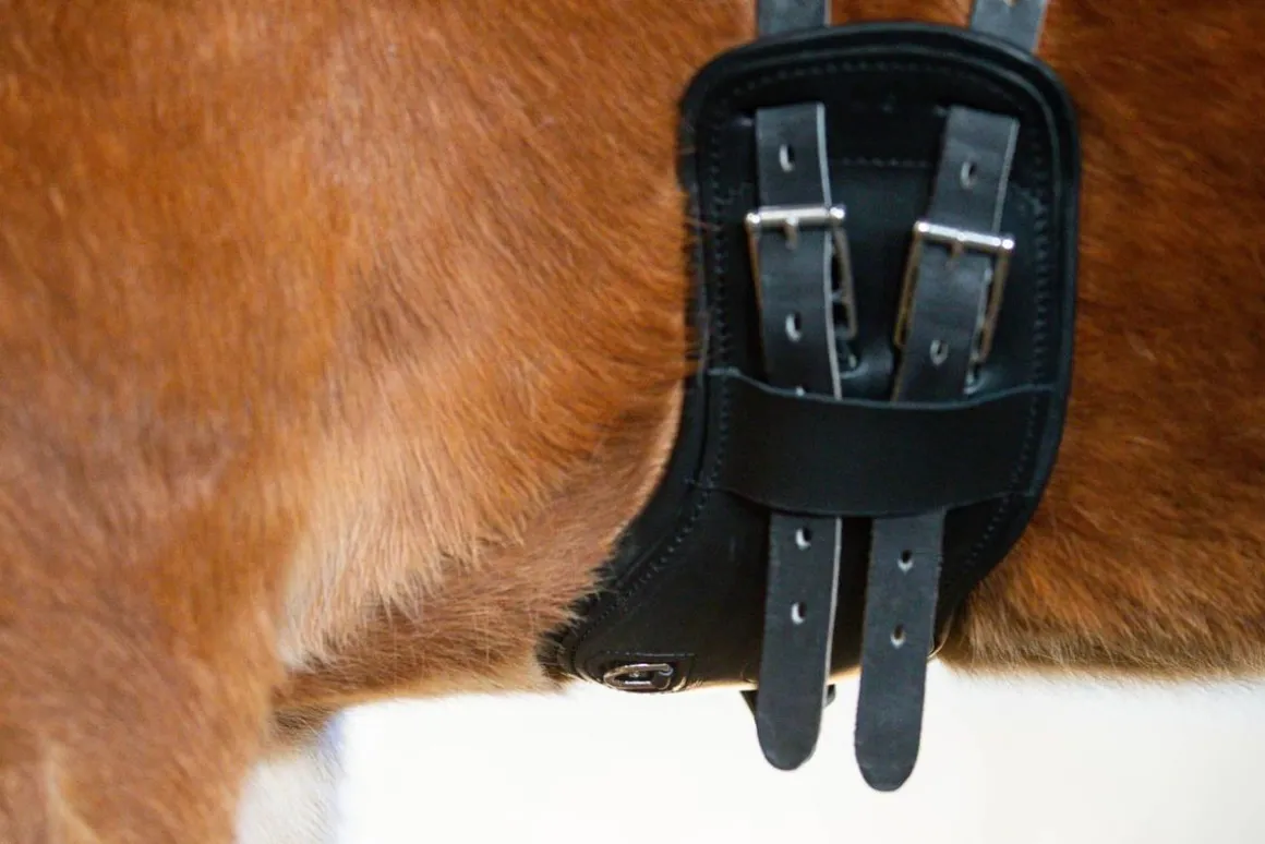Eques Flex Balance Gjord