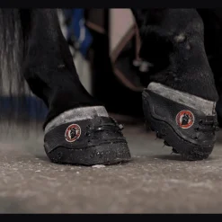 Equine Fusion 24/7 Jogging Limsko