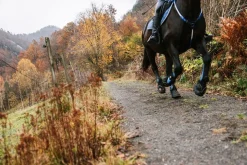 Equine Fusion Active Jogging Shoe