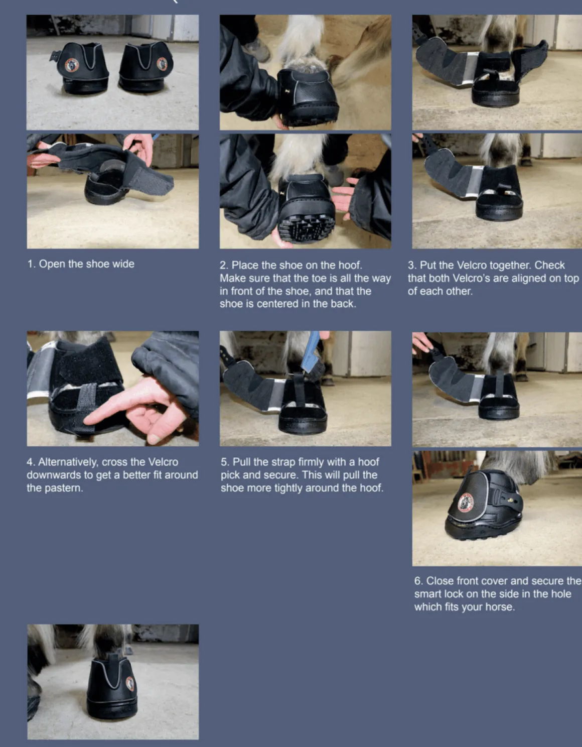 Equine Fusion Active Jogging Shoe