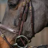 Gagstrap med avtagbar ring - Dyon Collection