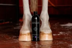 Grooming Deluxe Almond Gloss Purple Shampo
