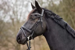 HG Hodelag Emi Kombinert Nesereim
