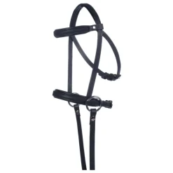 Hodelag til kjepphest