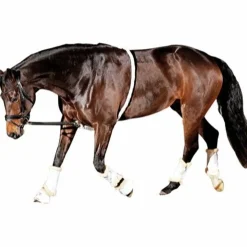 HorseGuard Soft Longeringshjelp
