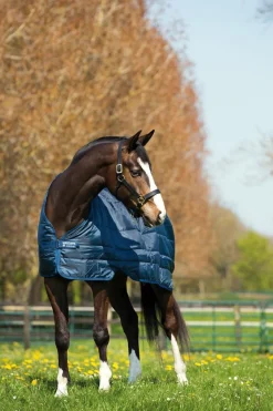 Horseware Liner 100gr