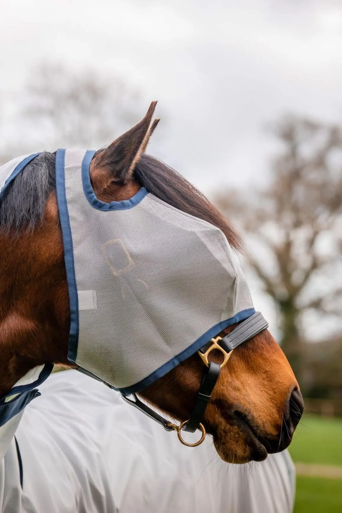 Horseware Mio Flue maske uten ører Lunar Rock/Navy