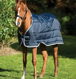 Horseware Ponni Liner 100gr