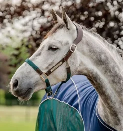 Horseware Signature flettet grime - Flere farger