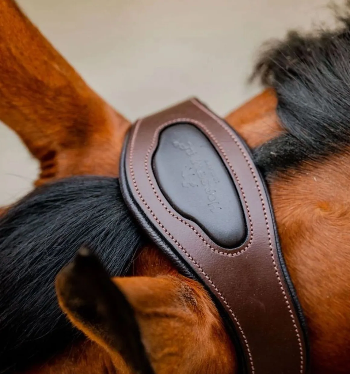 Horseware Signature flettet grime - Flere farger