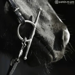Hrímnir Full Cheek Training Bit