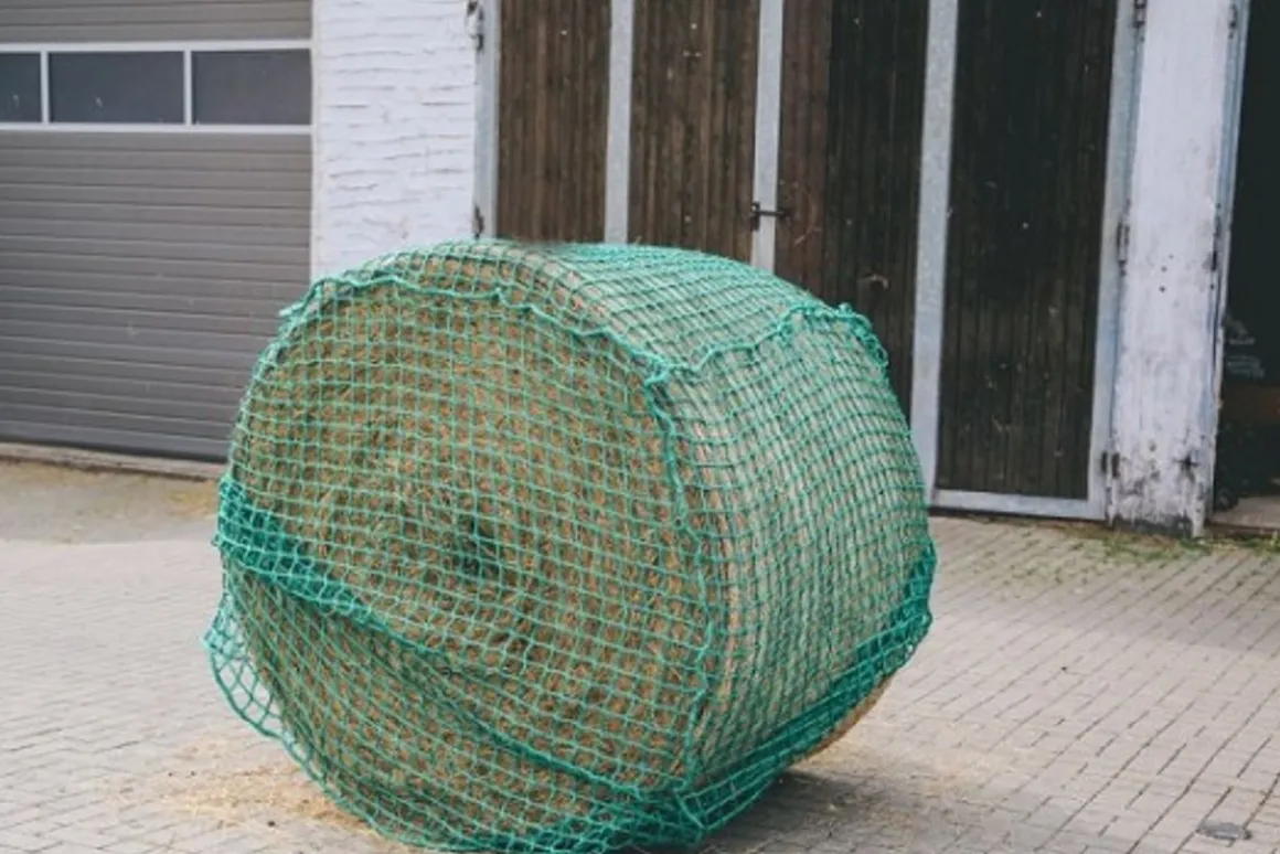 Høynett til rundball