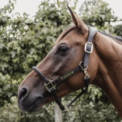 Kentucky Anatomisk grime i Lær