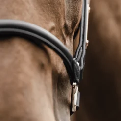 Kentucky Anatomisk grime i Lær
