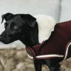 Kentucky Dog Rug Heavy Fleece