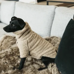 Kentucky Dog Sweater Teddy Fleece