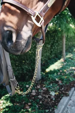 Kentucky Hingstekjede