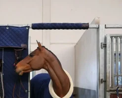 Kentucky Hodebeskytter til boks