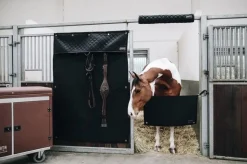 Kentucky Hodebeskytter til boks