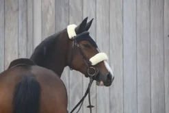 Kentucky lammeskinn beskytter- Flere Farger