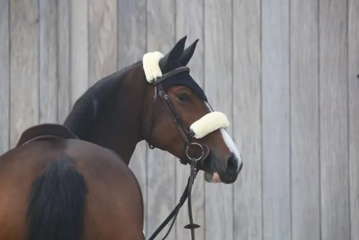 Kentucky lammeskinn beskytter- Flere Farger