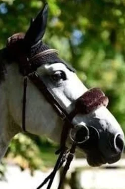 Kentucky lammeskinn beskytter- Flere Farger