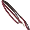 Kentucky Plaited Nylon Dog Lead