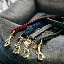 Kentucky Plaited Nylon Dog Lead