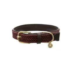 Kentucky Plaited Nylon Dog Collar
