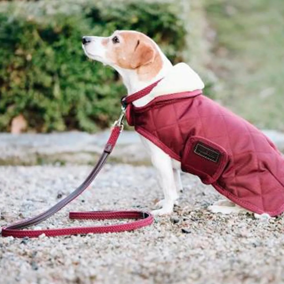 Kentucky Plaited Nylon Dog Lead