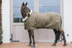 Kentucky Show Rug - Khaki Green