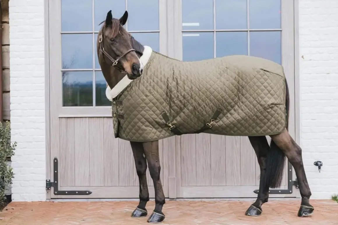 Kentucky Show Rug - Khaki Green