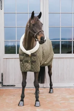 Kentucky Show Rug - Khaki Green